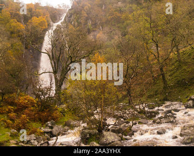 Aber Falls Waterfall in full flood and Rhaeadr Fawr river after days of heavy rain Coedydd Aber National Nature Reserve Abergwyngregn Gwynedd North Wa Stock Photo