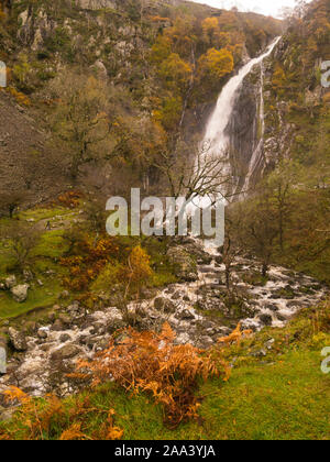 Aber Falls Waterfall in full flood and Rhaeadr Fawr river after days of heavy rain Coedydd Aber National Nature Reserve Abergwyngregn Gwynedd North Wa Stock Photo