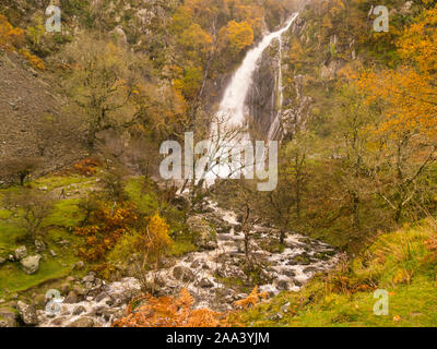 Aber Falls Waterfall in full flood and Rhaeadr Fawr river after days of heavy rain Coedydd Aber National Nature Reserve Abergwyngregn Gwynedd North Wa Stock Photo