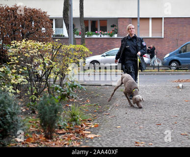 Berlin, Germany. 19th Nov, 2019. A police dog handler walks with a police dog to an apartment building. A 26-year-old man was arrested here on suspicion of terrorism. They say the Syrian bought chemicals to make bombs. (on 'Bought chemicals for bomb-making - Terror suspect arrested') Credit: Paul Zinken/dpa/Alamy Live News Stock Photo