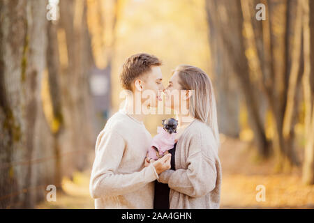Autumn photo, couple in love hugs and holds dwarf dog on background of yellow leaves, man shows his tongue. Concept Childfree. Stock Photo