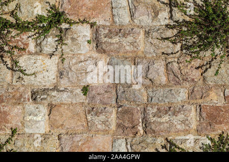Seamless pattern of masonry wall of old stone blocks with green weeds Stock Photo
