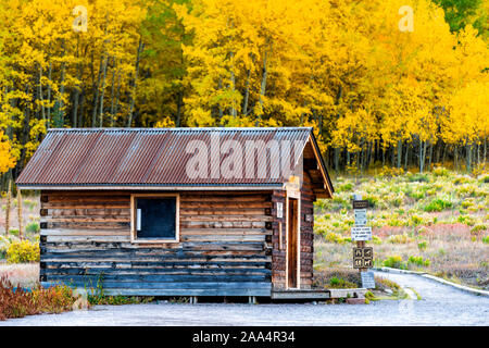 Aspen, USA - September 27, 2019: Castle Creek road abandoned wooden house cabin in Ashcroft ghost town with yellow foliage aspen trees in Colorado aut Stock Photo