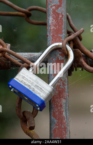 Padlock and chain on a farm gate. Cumbria, UK. Stock Photo