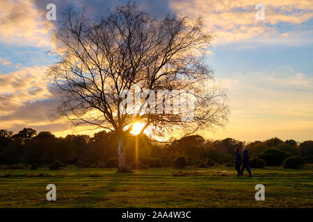 Sunset autumn park scene in New Forest NP with sun peaking through leafless tree with clouds, sunbeam.  Shadow of two people walking away Stock Photo