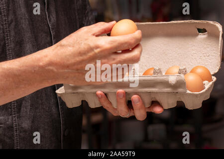 Chef holding an egg carton and a brown egg for meal preparation Stock Photo