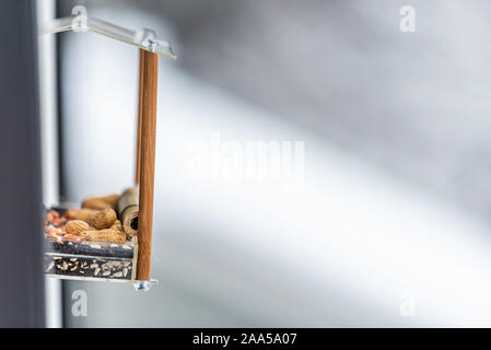 Side closeup of one empty small glass plastic bird feeder against window closeup during winter snow in Virginia blurry background filled with nuts see Stock Photo