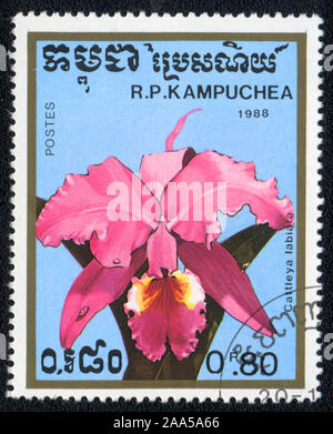 A stamp printed in Kampuchea shows flowers orchid Ruby-lipped Cattleya labiata,  1988 Stock Photo