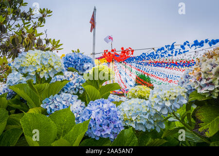 Image of beautiful blooming hydrangeas in the nature Stock Photo