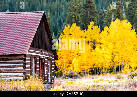 Castle Creek road Blue Mirror Saloon sign on wooden house cabin architecture in Ashcroft ghost town with yellow foliage aspen trees in Colorado rocky Stock Photo