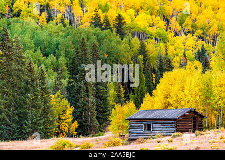Castle Creek road abandoned wooden house cabin architecture in Ashcroft ghost town with yellow foliage aspen trees in Colorado rocky mountains autumn Stock Photo