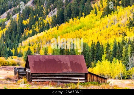 Castle Creek road wooden house cabin building in Ashcroft ghost town with yellow foliage aspen trees in Colorado rocky mountains autumn fall Stock Photo