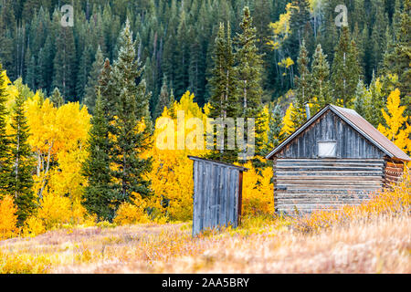 Castle Creek road outhouse and wooden house cabin architecture in Ashcroft ghost town with yellow foliage aspen trees in Colorado rocky mountains autu Stock Photo