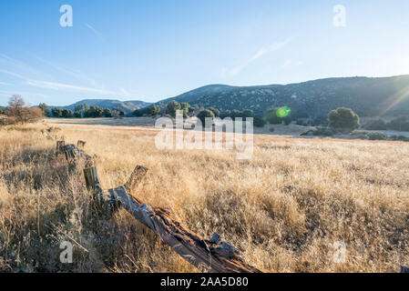 Cuyamaca Rancho State Park on an autumn morning. San Diego county, California, USA. Stock Photo