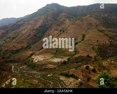 Extensive terraced fields at the remote village of Dalkanya on the Nandhour Valley, Kumaon Hills, Uttarakhand, India Stock Photo