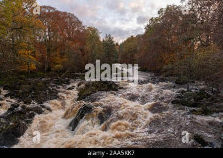 A View of the River Feugh in Autumn as it Approaches the Falls of Feugh Near Banchory in Aberdeenshire Stock Photo