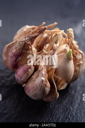 Close-up view of a homegrown bulb of garlic on a dark surface Stock Photo