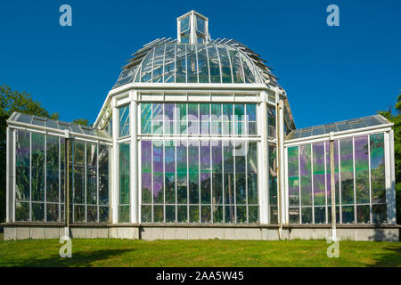 Switzerland, Geneva, Botanical Garden, Temperate greenhouse Stock Photo