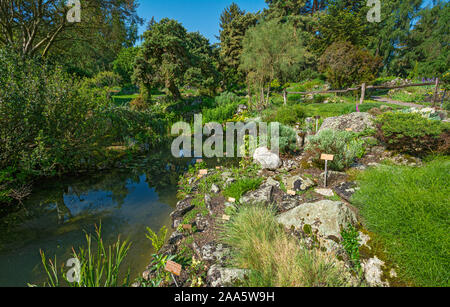 Switzerland, Geneva, Botanical Garden Stock Photo