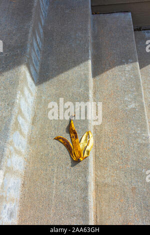 Discarded banana peel dropped on steps, now an accident hazard for someone to slip on it and take a serious fall, Castle Rock Colorado US. Stock Photo