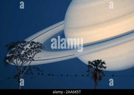 Saturn planet back silhouette birds on power electric line and between tree, Elements of this image furnished by NASA Stock Photo