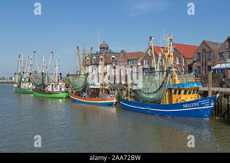 Colourful shrimp boats in the fishing port, Neuharlingersiel, East Frisia, Niedersachsen, Germany Stock Photo