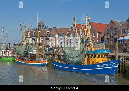 Colourful shrimp boats in the fishing port, Neuharlingersiel, East Frisia, Niedersachsen, Germany Stock Photo