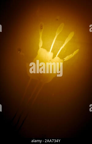 Psycho creepy shadowy palm handprint on bathroom shower frosted transparent door Stock Photo