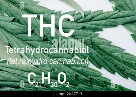 close up view of medical marijuana leaf on white background with thc formula illustration Stock Photo