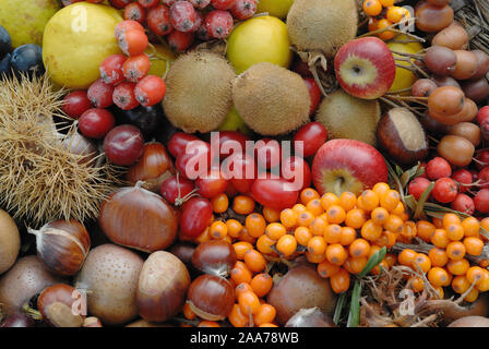 Verschiedene Obstsorten, Wildfruechte, Detailaufnahme, Stock Photo