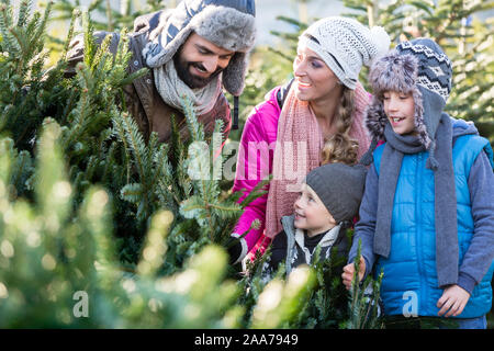 Family buying Christmas tree on market Stock Photo