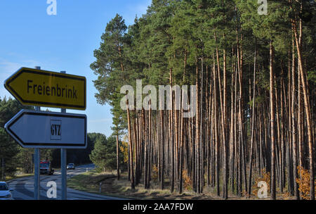 Freienbrink, Germany. 19th Nov, 2019. A forest area borders a road at the freight traffic centre (GVZ) Freienbrink in the municipality Grünheide east of Berlin. Tesla is planning to build a Gigafactory in this forest area. Credit: Patrick Pleul/dpa-Zentralbild/ZB/dpa/Alamy Live News Stock Photo
