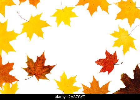 Nice border made from color falling maple leaves Stock Photo