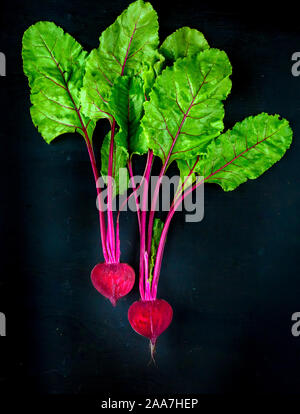 Beetroot cut in half on a dark background, place for text Stock Photo
