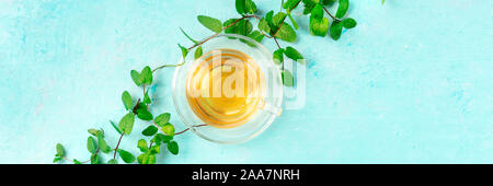 Mint tea cup panorama, overhead shot on a blue background with vibrant fresh mint leaves and copy space Stock Photo