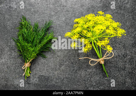 Freshly harvested herbs from the garden. Fresh dill herb and flower of dill plant on black background. Stock Photo