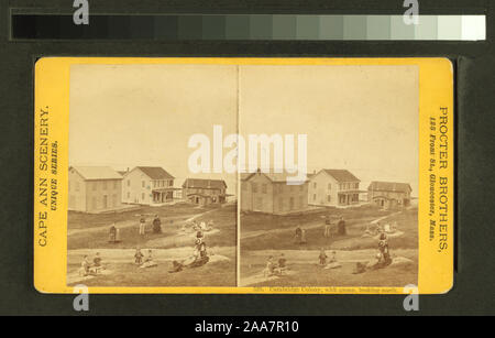 Cambridge Colony, with group, looking north.; Cambridge Colony, with group, looking north. Stock Photo