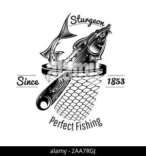 Sturgeon fish head and tail from can in engraving style. Logo for canned  fish or caviar on white Stock Vector Image & Art - Alamy
