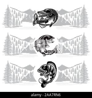 Three banners with salmon, pike, perch fish bend silhouette with wild landscape in engrving style. Label for fishing, championship and sport club or l Stock Vector