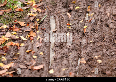 Wheel tracks of mountain bikes in the mud with autumn leaves. Seen in the forest in Bavaria / Germany near Nuremberg at the Schmausenbuck in November. Stock Photo