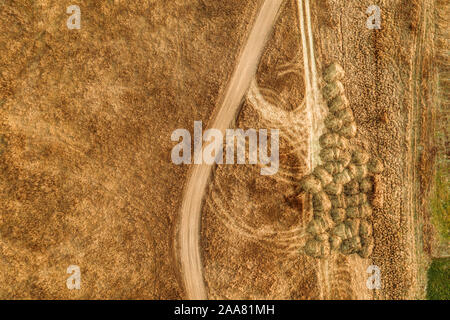 Aerial view of dusty dirt road through grassy plain landscape, top view from drone pov