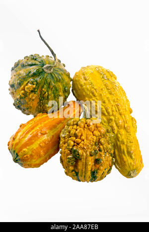 A bunch of ornamental gourds stacked in a pile on an isolated white background. Stock Photo