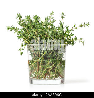 Fresh thyme isolated on white background Stock Photo