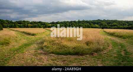 The arch of Wembley Stadium betrays the urban situation of the meadows of Fryent Country Park and woodland of Barn Hill in North London. Stock Photo