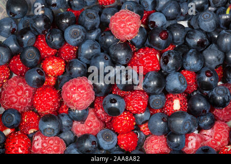 Freshly collected blueberry and the raspberry fruit Stock Photo
