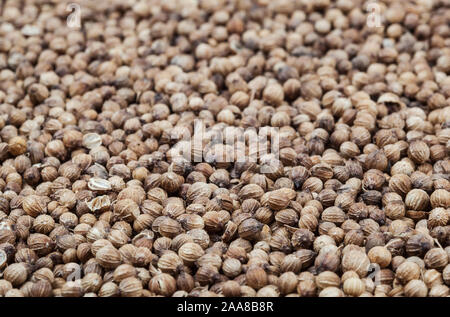 Dried coriander seeds background Stock Photo