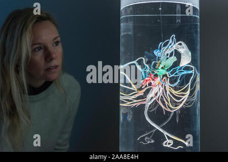 London, UK.  20 November 2019. A staff member views 'P-Plastoceptor: Organ for Sensing Plastics', 2014, by Pinar Yoldas. Preview of 'Eco-Visionaries' exhibition at the Royal Academy of Arts in Piccadilly.  The exhibition examines humankind's ecological impact on the planet through works from 21 international practitioners using a variety of media.  The show runs 22 November to 23 February 2020. Credit: Stephen Chung / Alamy Live News Stock Photo