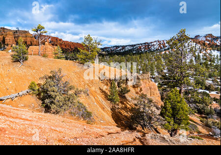 View of the Red Canyon in Utah, the USA Stock Photo