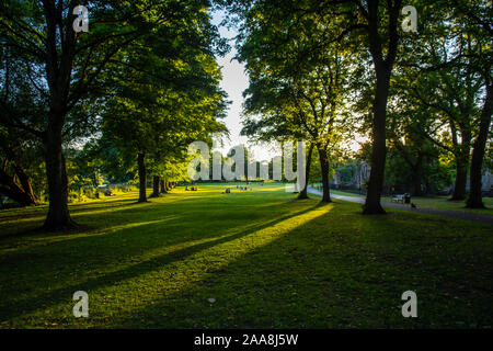 Leeds, England, UK - June 30, 2015: Trees cast shadows on the landscaped parkland of Kirkstall Abbey in the Aire Valley on the edge of Leeds in Yorksh Stock Photo