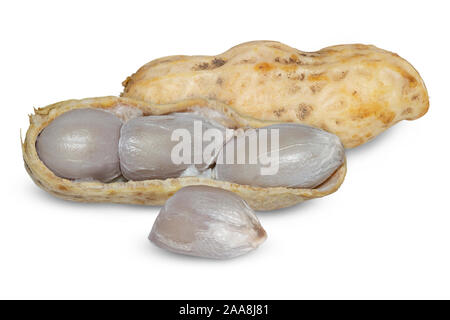 Boiled peanut on white background. Stock Photo
